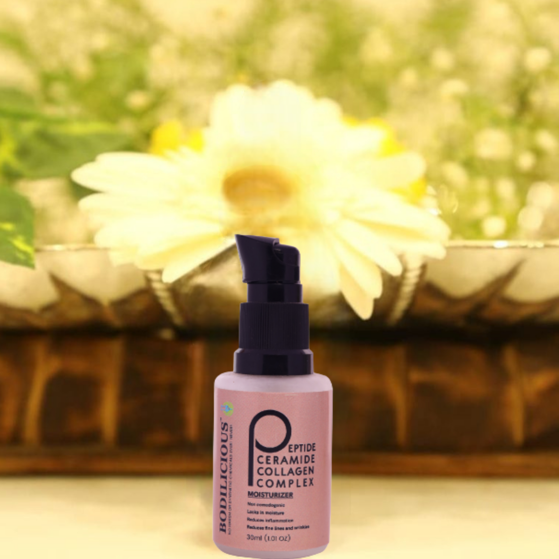 Bodiilicious's Peptide ceramide collagen complex moisturizer |  Best moisturizer for all skin types